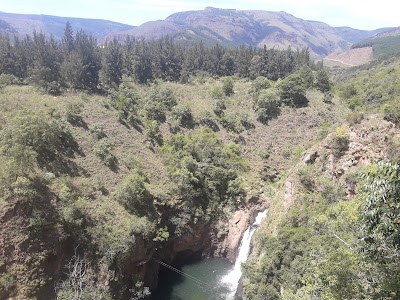 Photos of Magoebaskloof Canopy Tours