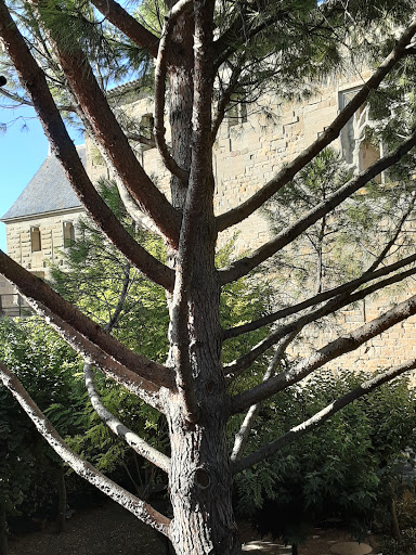Le Jardin de la Tour Gallery - France