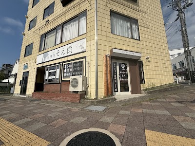 はりきゅう治療院そえ樹（そえぎ）