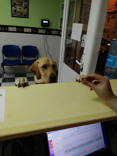 Clínica Veterinaria Ammar