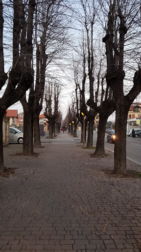 Cambiano - Santena - Thumbnail