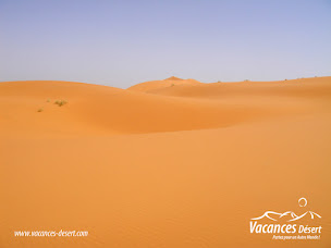 Photo n°11 de VACANCES DESERT à Libermont (Agence de voyages)
