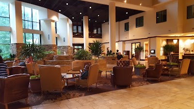 Photos of Embassy Suites by Hilton San Antonio Riverwalk Downtown