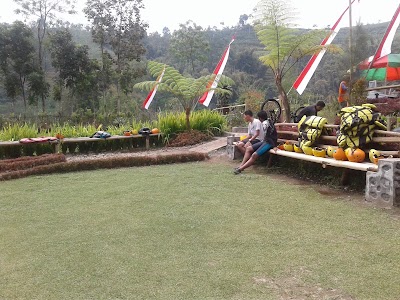 Photos of Sedaer River Tubing