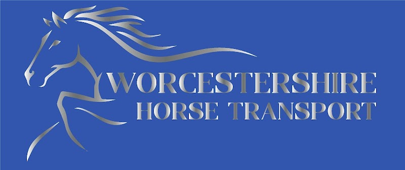 Worcestershire Horse Transport photo 2