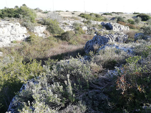 cripta di belvedere - Visual