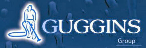 Guggins Group - Thumbnail