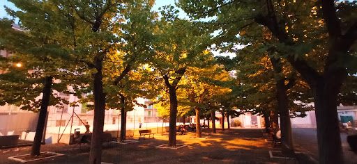Villa Spada (former park Scianatico) - Thumbnail