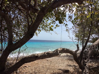 Photos of Playa Largu