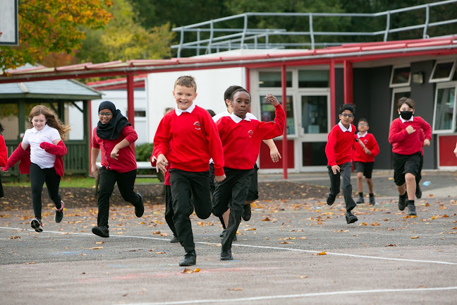 Reviews of Cherry Tree Primary School in Watford - School