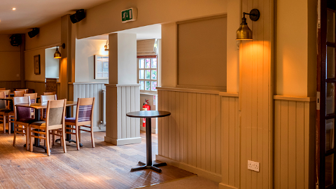 The Birds & Bees by null