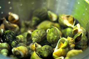 Photo n°25 de Café Vienne à Perpignan (Restaurant de fruits de mer)