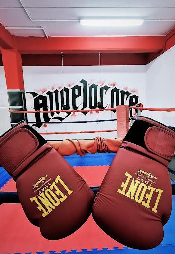Angelocore Boxe - Thumbnail