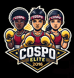 Photo n°20 de Boxing club Cospo Elite à Louvres (Club de boxe)