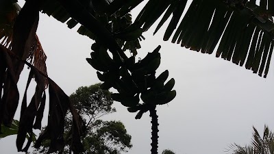 Photos of Ulladulla Guest House