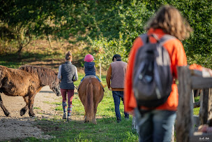 Photo n°14 de Kaïros Equitation à Kerien (Centre équestre)