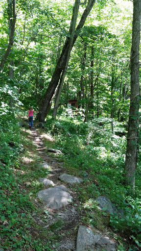 Doyles River Cabin Gallery - United States