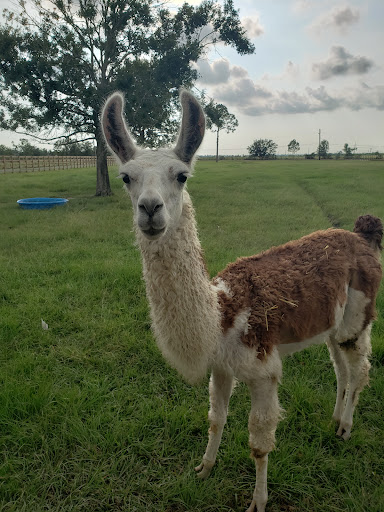 Red Oak Farm - Thumbnail