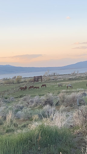 Little Washoe Lake Park Gallery - United States