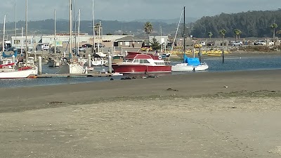 Photos of Monterey Bay Kayaks - Elkhorn Slough at Moss Landing