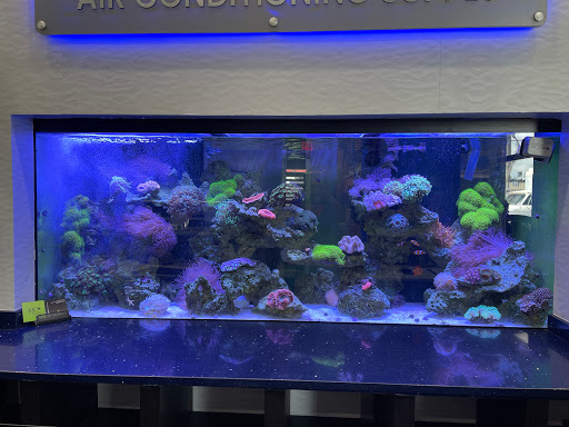 The Fishman, Custom Aquariums - Thumbnail