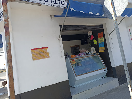 Carnicería y cremería" los cerdos hermanos "