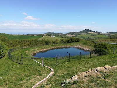 Casa Del Bosco