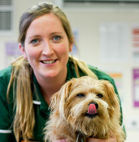 Willows Veterinary Group - The Firs Veterinary Surgery