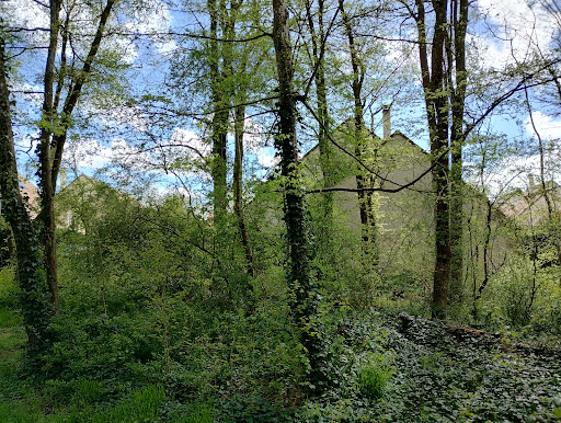 Forêt Communale de Gif-sur-Yvette - Thumbnail