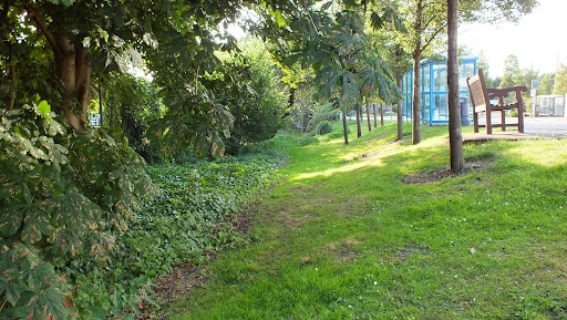 Sandfield Road Park