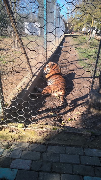 zoo