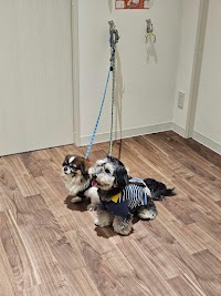 sunny sonny室内ドッグラン＆ドッグカフェ（無人カフェ）