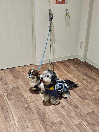 sunny sonny室内ドッグラン＆ドッグカフェ（無人カフェ）