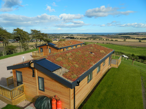 DF Roofing - Thumbnail