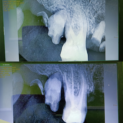 Gallery image 4