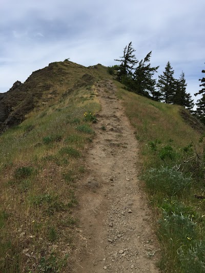 Mitchell Point Trailhead