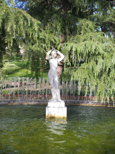 Rosaleda del Parque del Oeste - Thumbnail