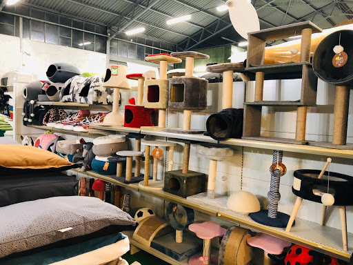 Angolo della Casa - PET SHOP - Thumbnail