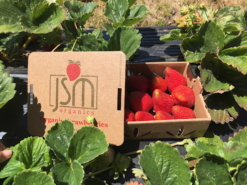 JSM Organic Farms by null