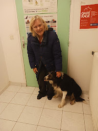 Photo n°51 de Clinique vétérinaire quartier Pontel St Germain en laye à Saint-Germain-en-Laye (Urgences vétérinaires)