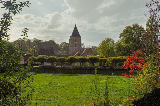Immobilier Puisaye Nathalie Larché IAD France - Thumbnail