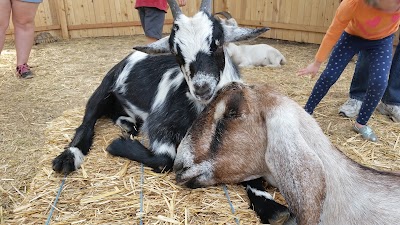 Little Explorers Mobile Petting Zoo