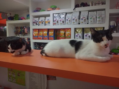 Photos of Sharpey Vets
