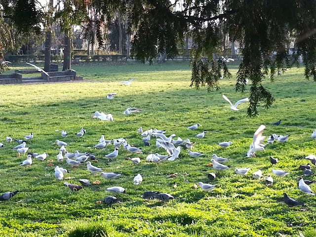 Cascine Park