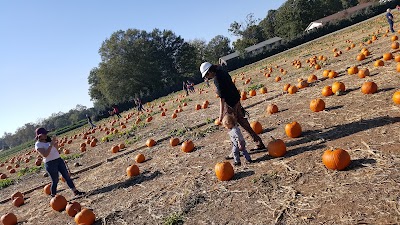 Photos of Carrigan Farms
