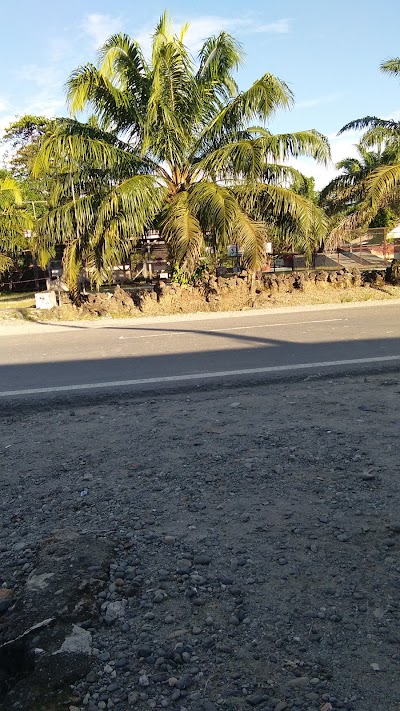 Photos of JNE TIKKE