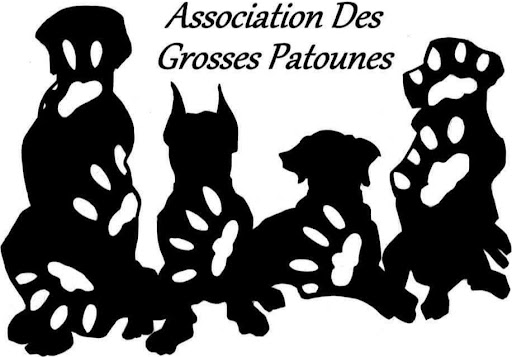 Association Des Grosses Patounes - Thumbnail