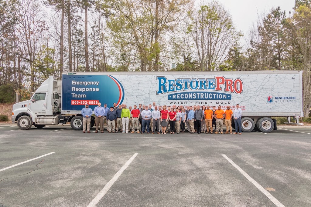 RestorePro Reconstruction photo