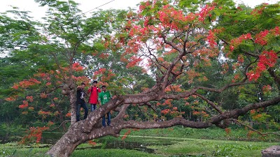 Photos of Botanical Garden