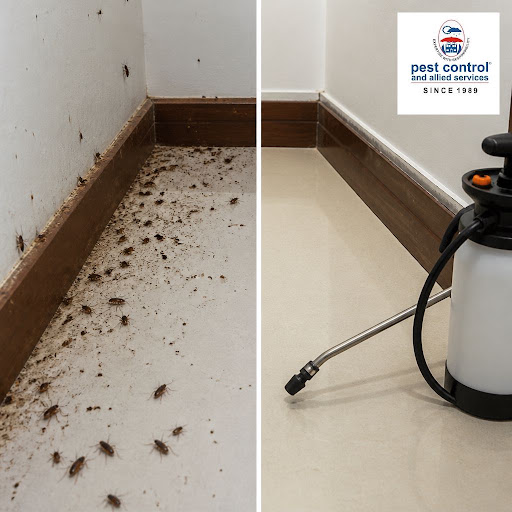 See the difference that expert pest management can make in your home or business. At Pest Control… post image